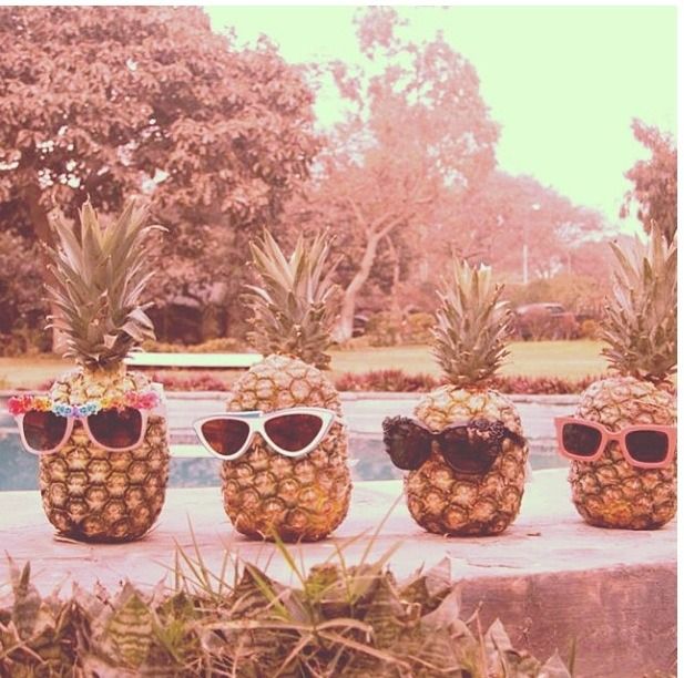 Tinned Pineapple pic
